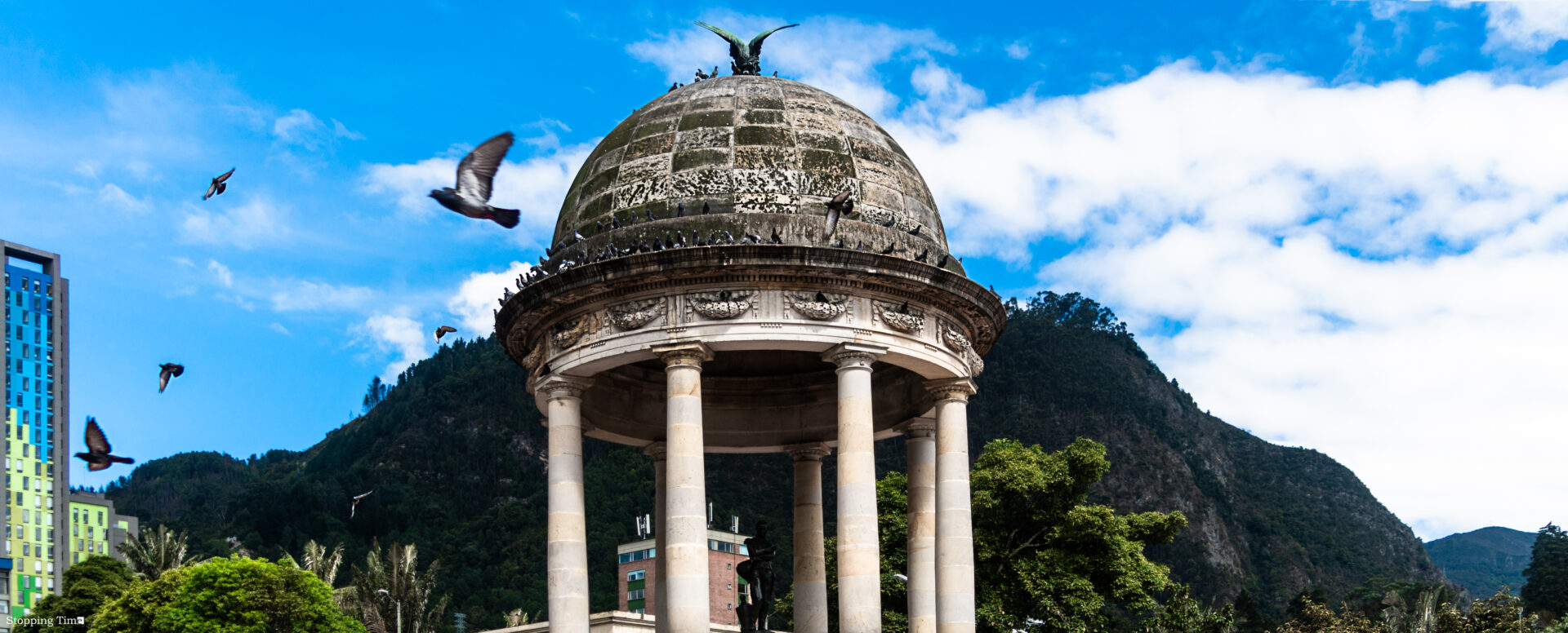 Downtown Doves Bogota